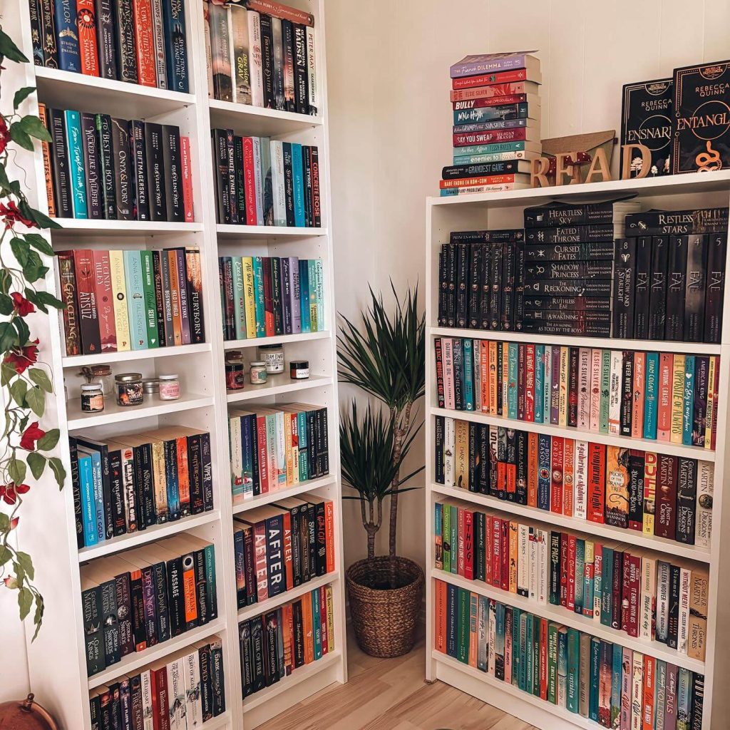 Create a Cozy Reading Nook with Your Bookshelves