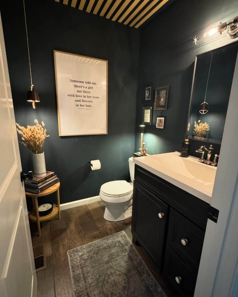 Cozy and Contemporary Moody Powder Room