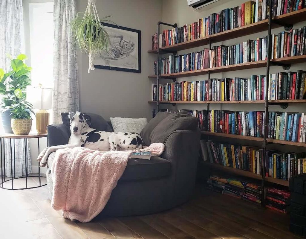 Industrial Chic Reading Spot with Pipe Shelves