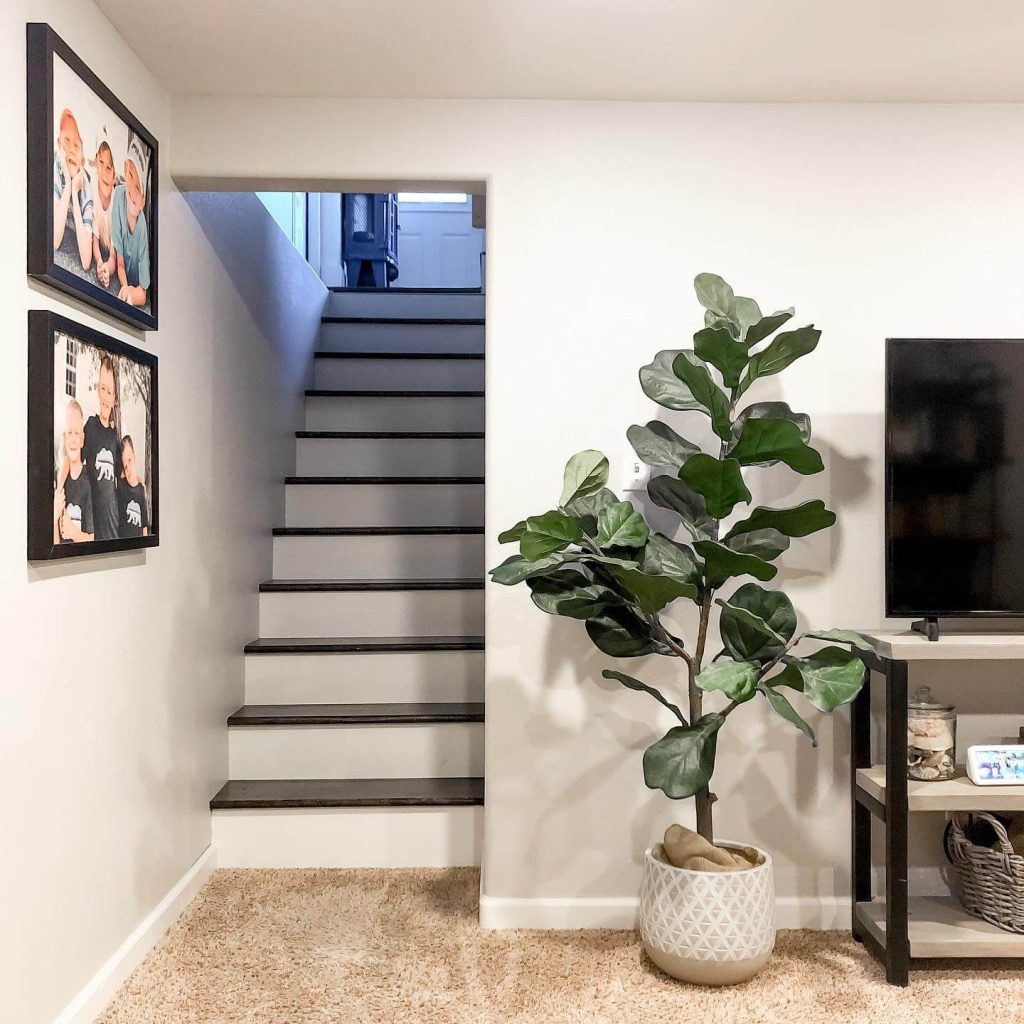 14. Add a Fiddle Leaf Fig for a Fresh, Organic Touch