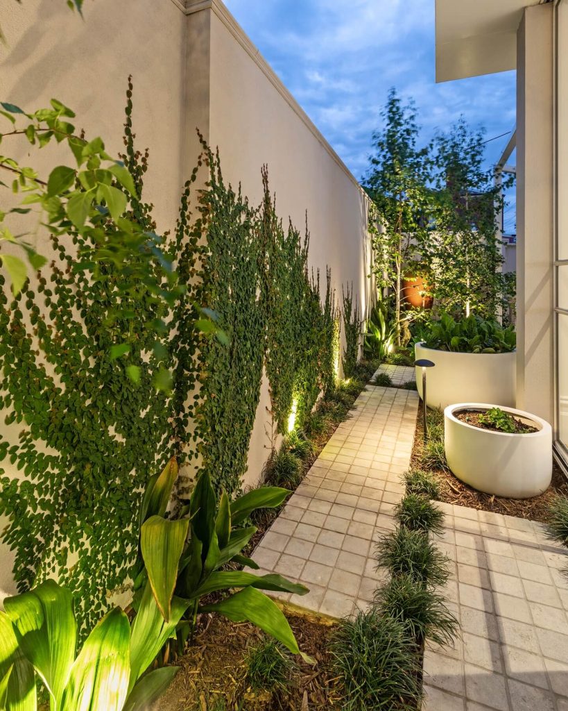 1. Vertical Greenery to Soften Walls and Save Space