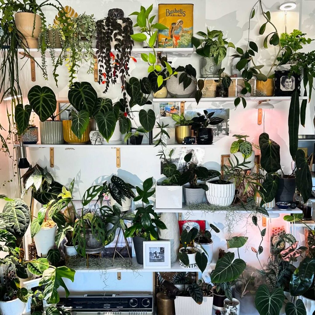 1. Eclectic Jungle Wall with Layered Shelving