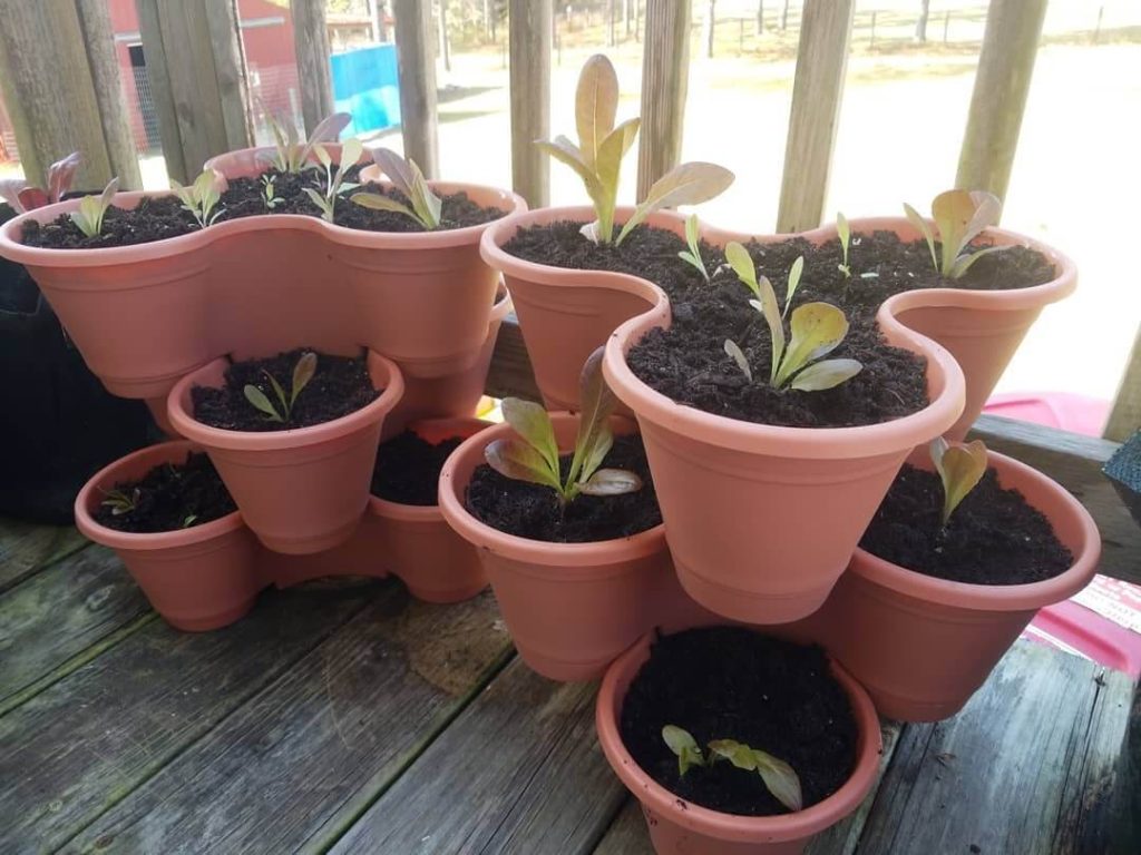 10. Stackable Planters for Vertical Growing on a Budget