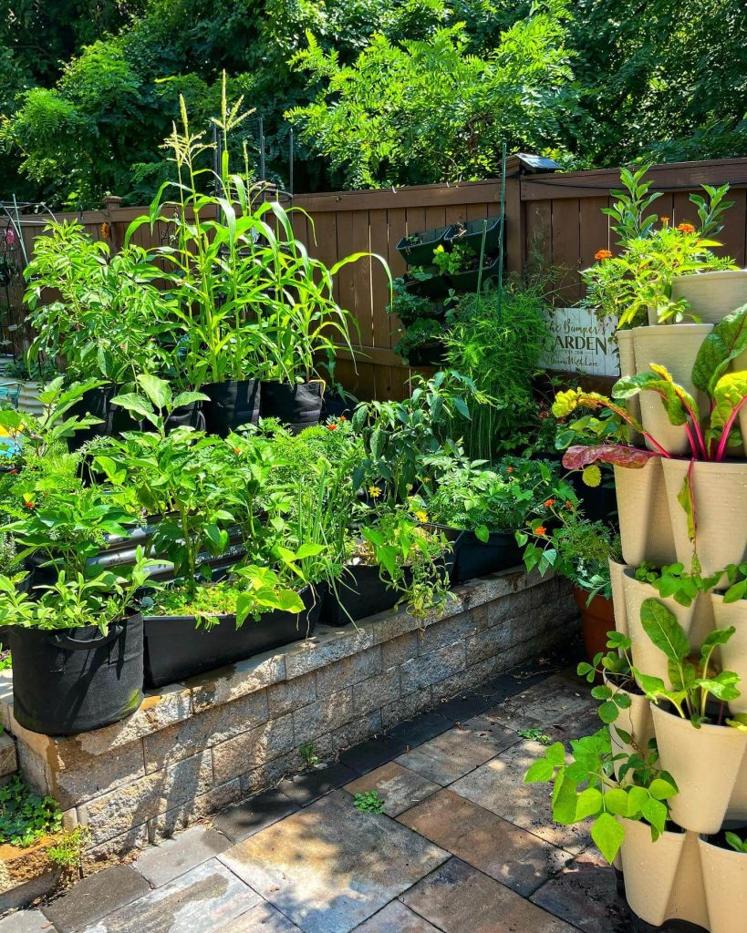 10. Multi-System Vertical Garden for Maximum Yield