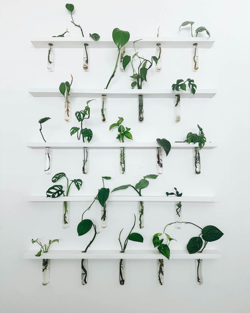 10. Minimalist Propagation Wall with Test Tubes