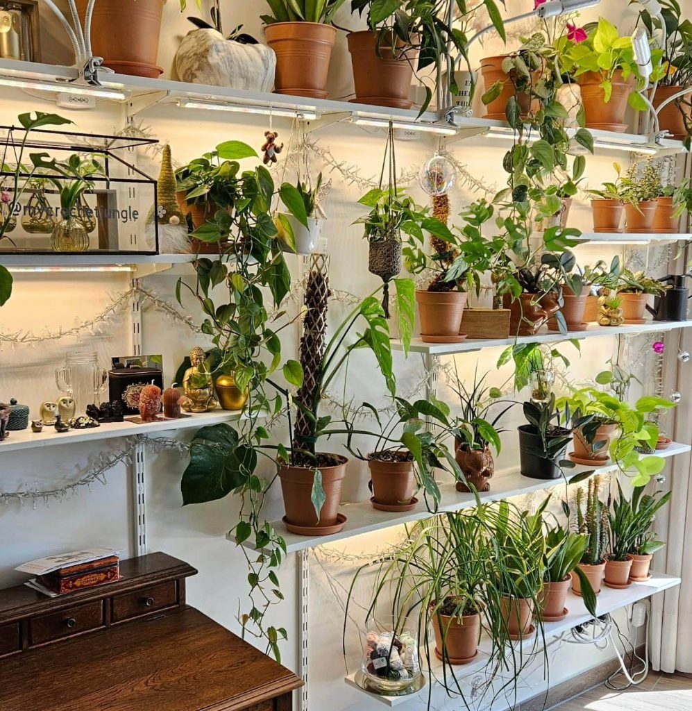 11. Boho-Inspired Wall with Layered Lighting and Vines