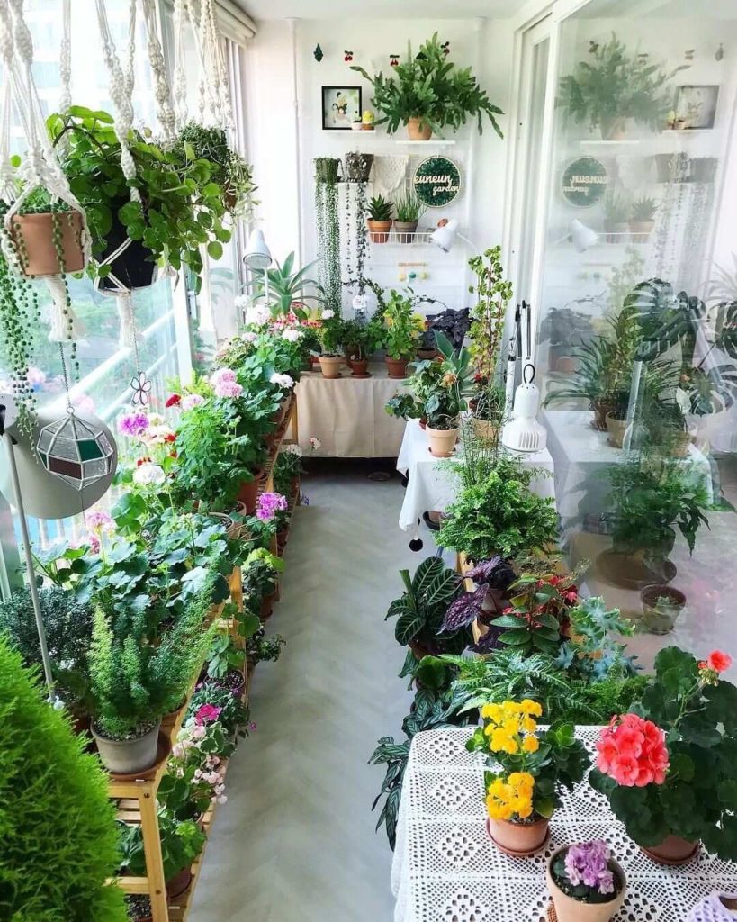 11. Lush Indoor Garden Balcony for Plant Enthusiasts