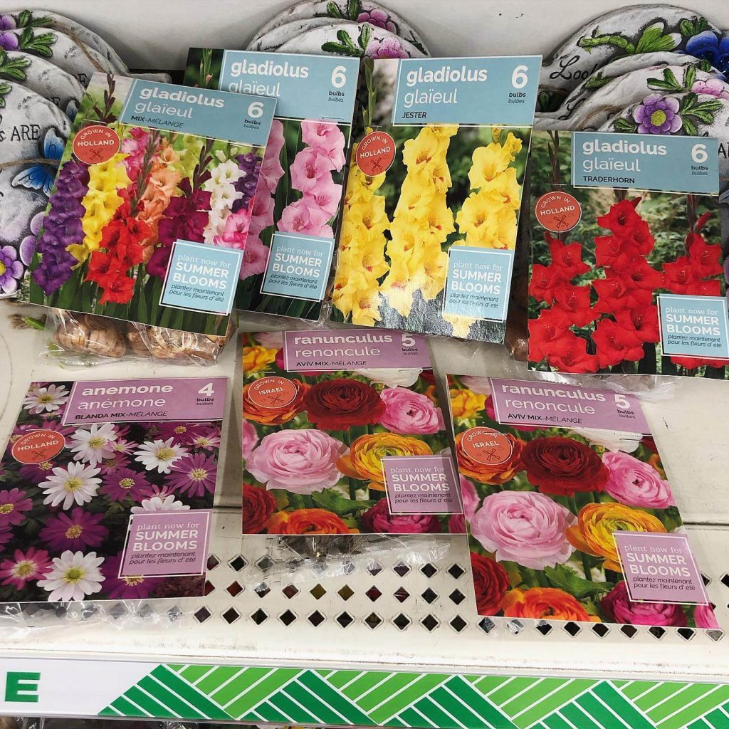 13. Mix-and-Match Flower Packs for Budget-Friendly Beauty