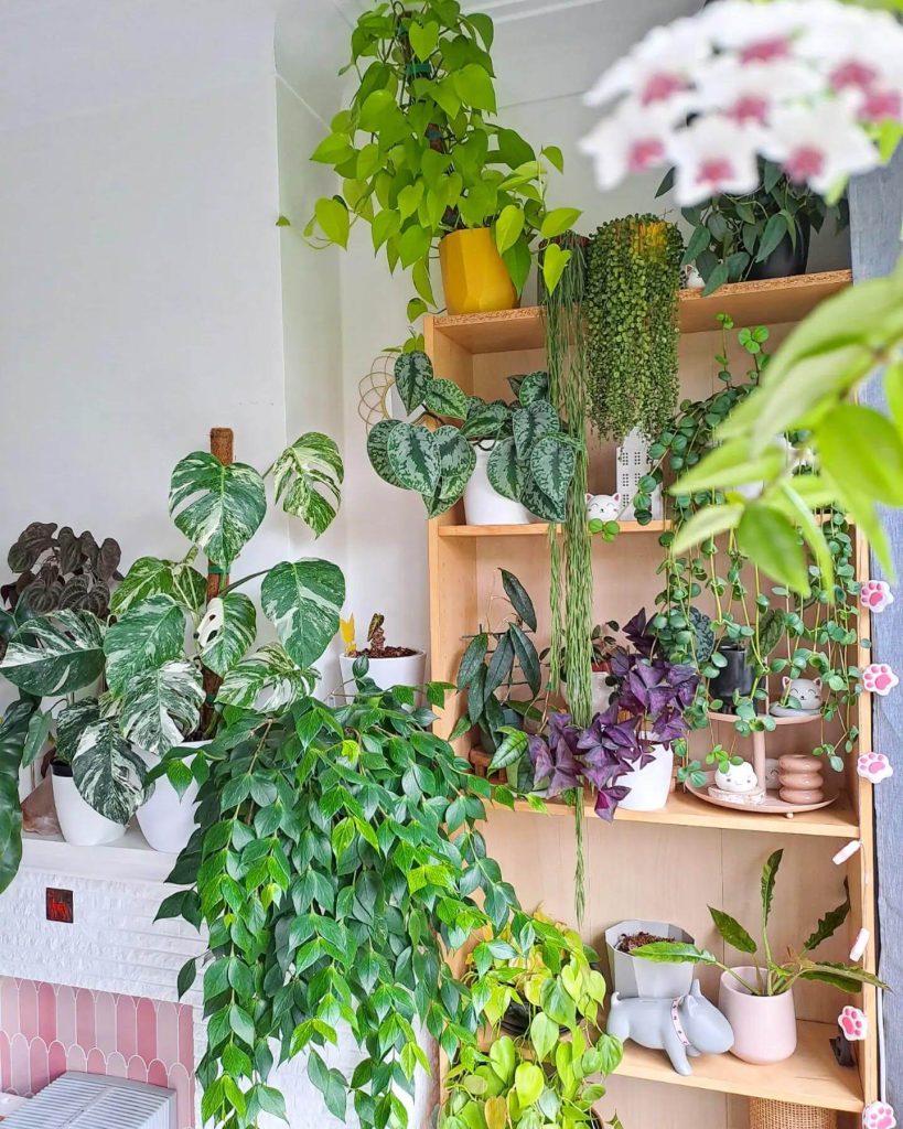 13. Corner Jungle with Cascading Shelves