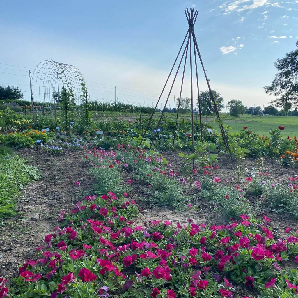 16. DIY Garden Teepee for Climbing Plants