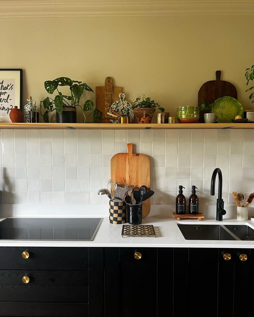 16. A Shelf Full of Texture and Plant Life