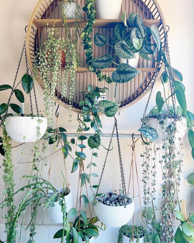 16. Bohemian Round Shelf with Hanging Vines