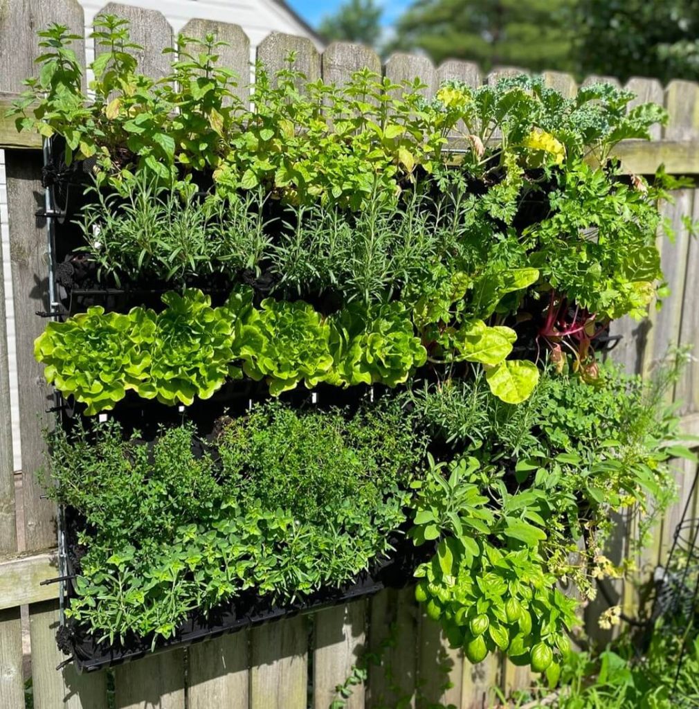17. Pocket Planter Herb Wall