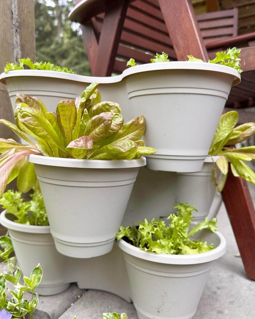 19. Grow Lush Greens with Stackable Planters
