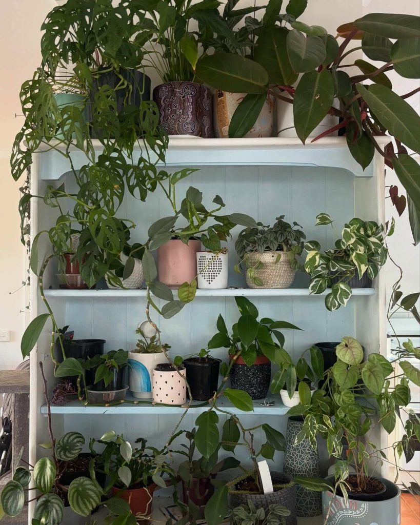 19. Cottagecore Cabinet Shelf Overflowing with Greenery