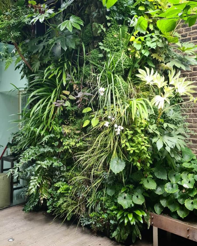 19. Dramatic Indoor Living Wall