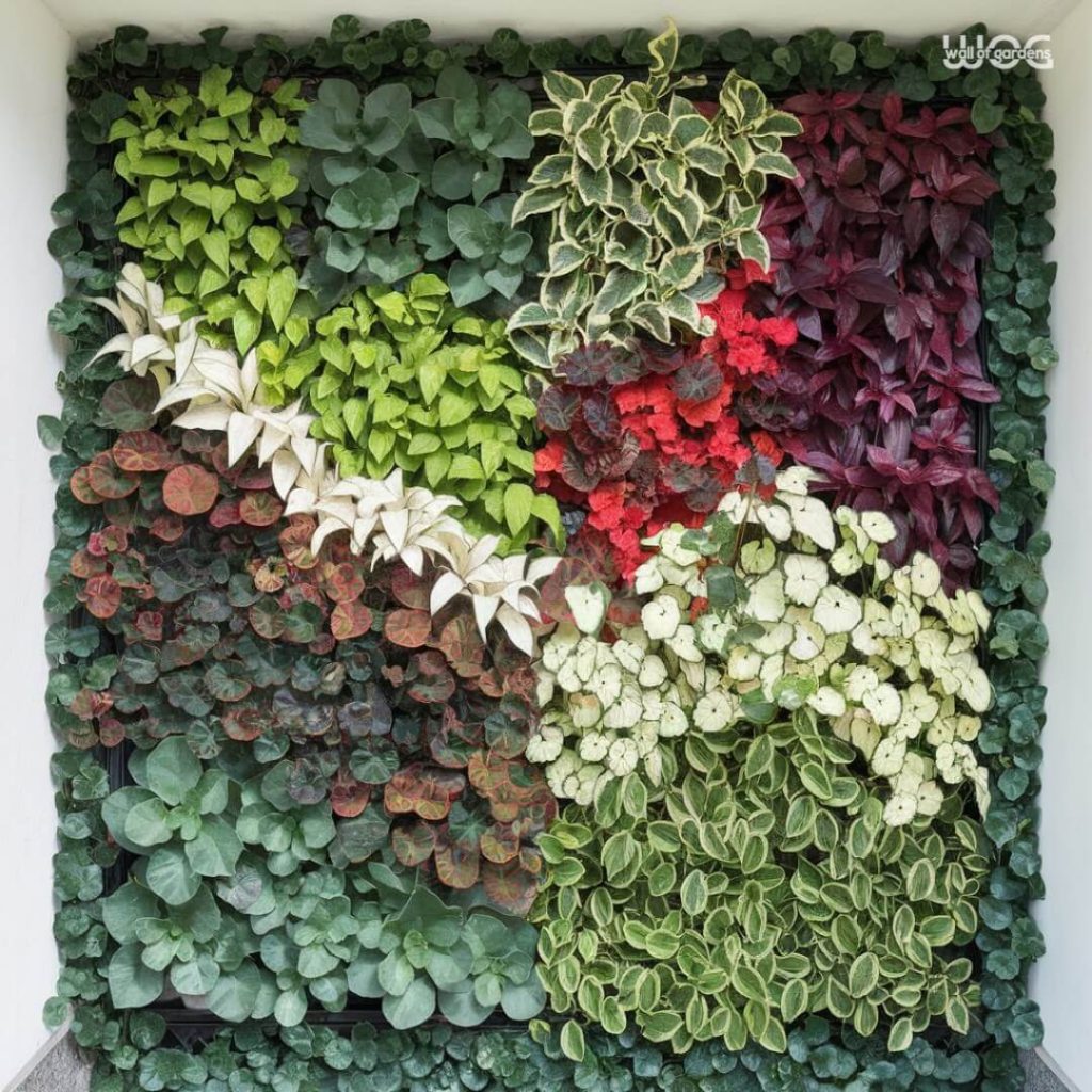 2. Lush Vertical Living Wall as Art