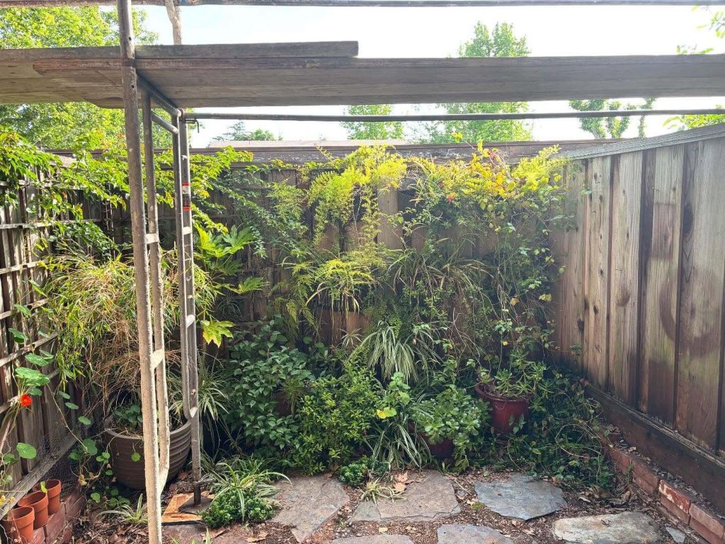 21. Fence Corner Climber Oasis