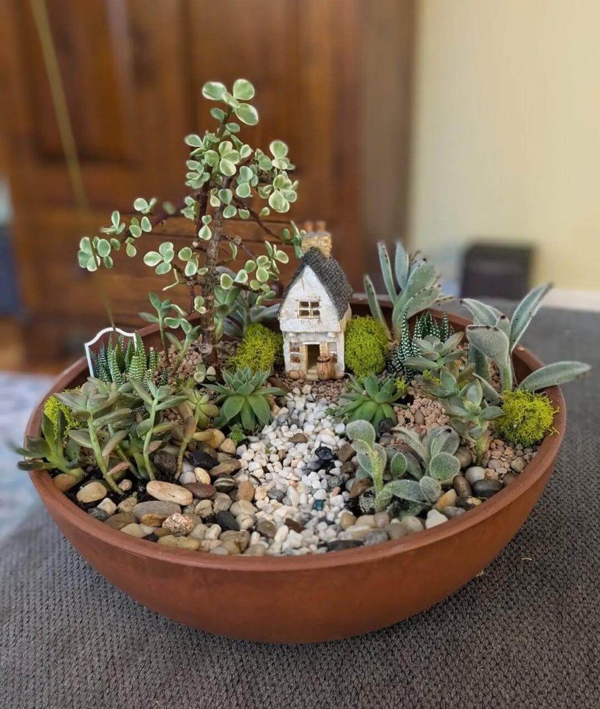 3. Succulent Sanctuary with a Miniature Cottage