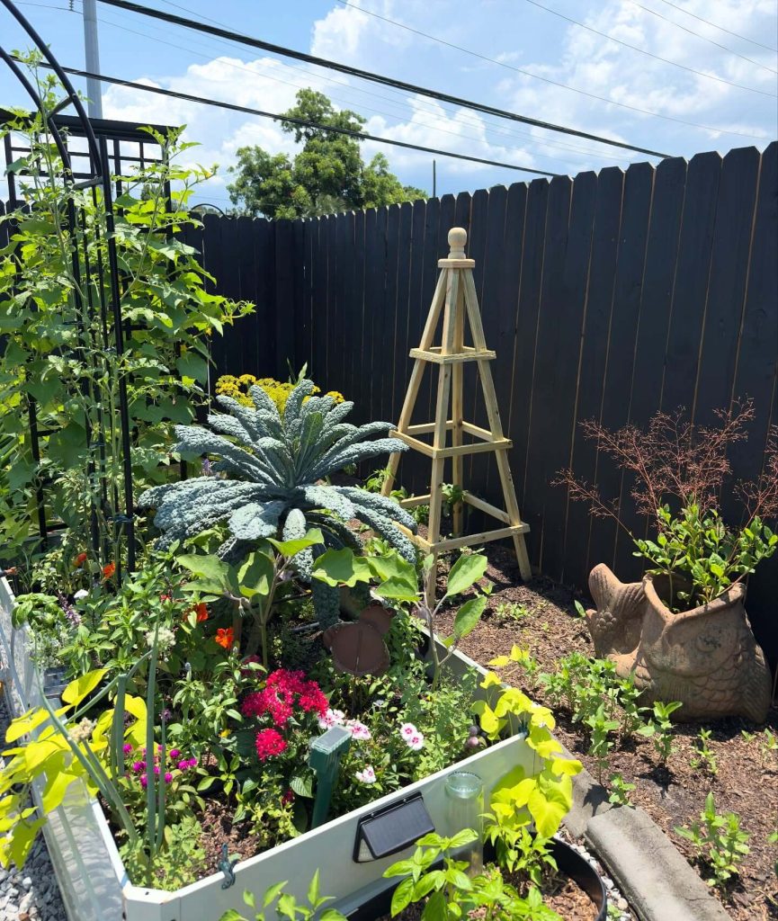 4. Wooden Obelisk Trellis for Vertical Support