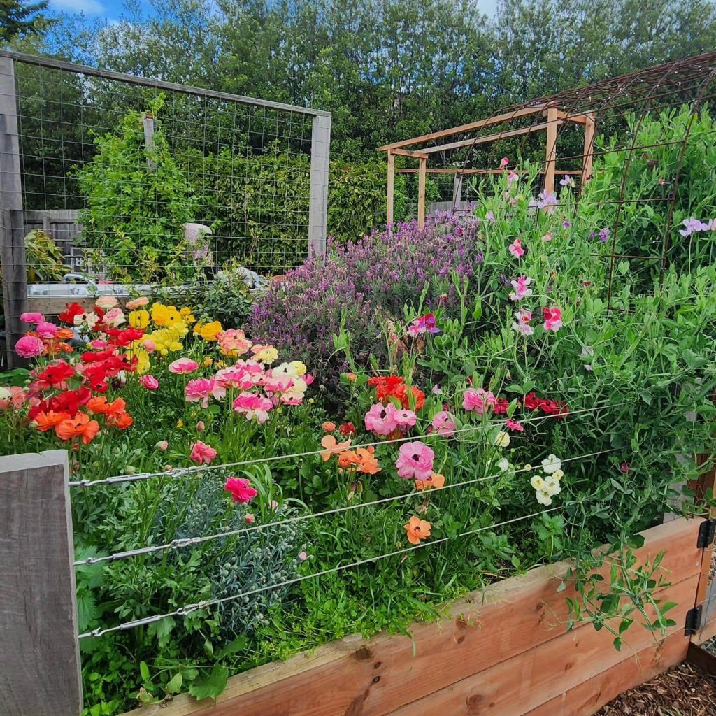 5. Wire Grid Trellis for Vertical Flowering Vines