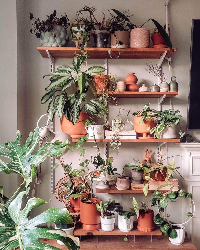 5. Earthy Warmth with Wood Shelving and Clay Tones