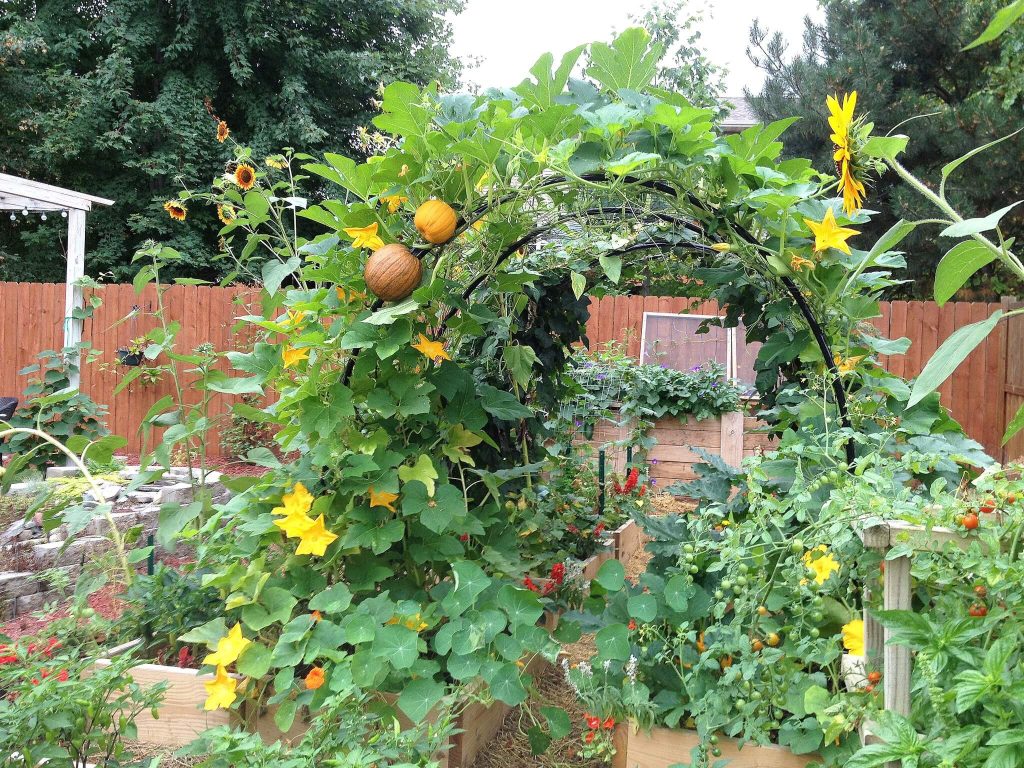 6. Arched Trellis Tunnel for Climbing Veggies