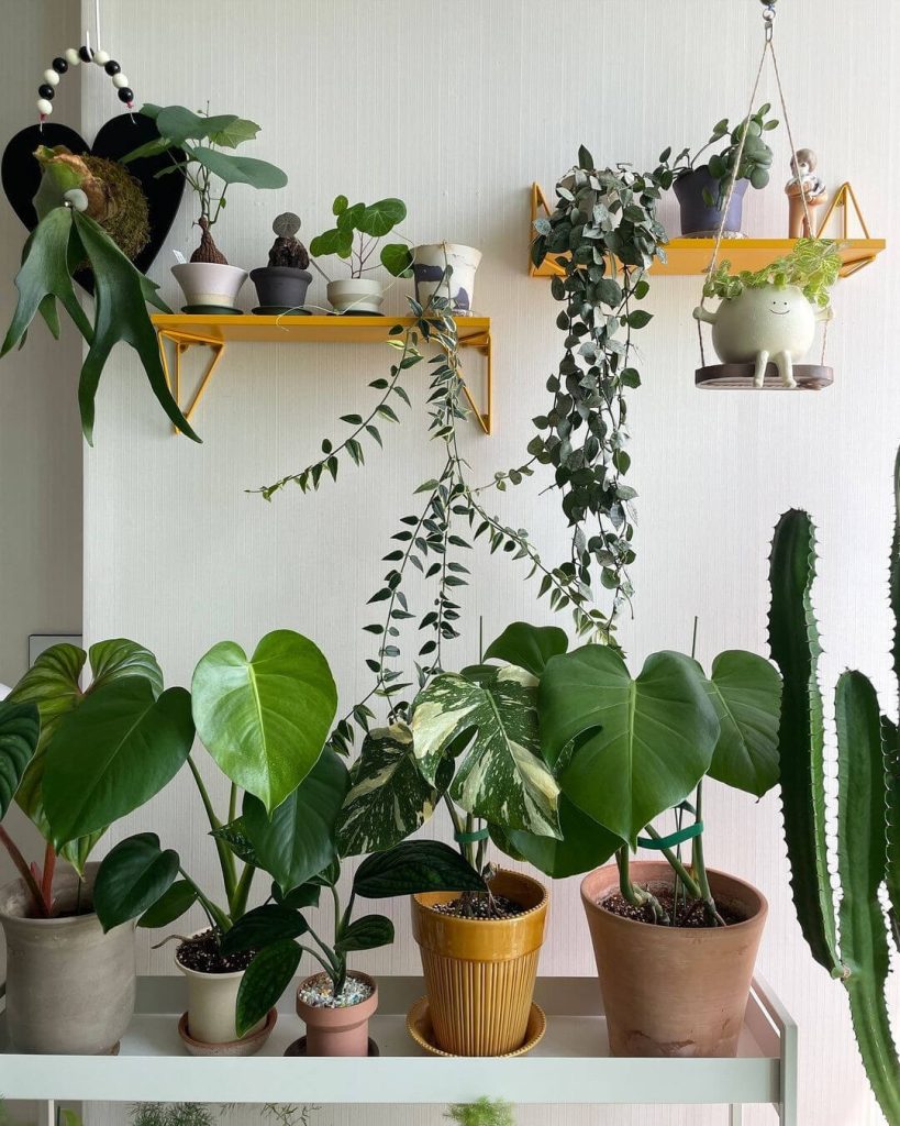 7. Playful Pop of Color with Bright Yellow Shelves