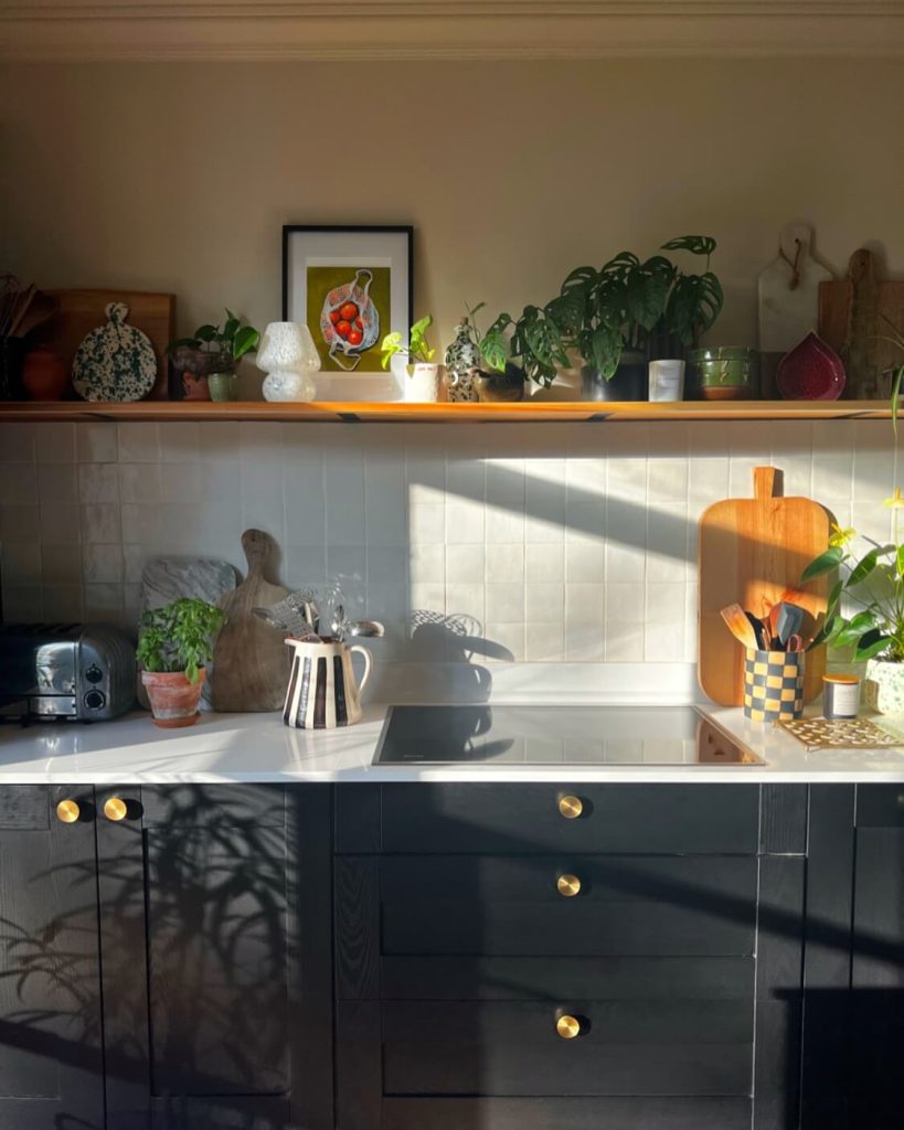 7. Sunlit Shelf With Botanical Decor