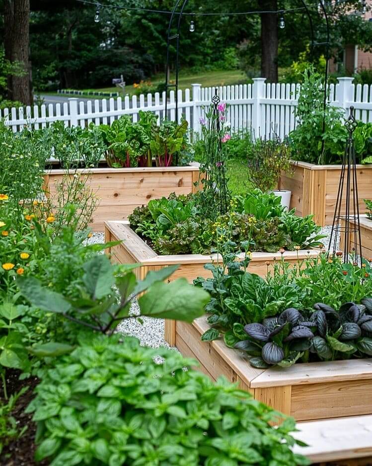 Tiered Raised Beds for Maximum Planting Depth