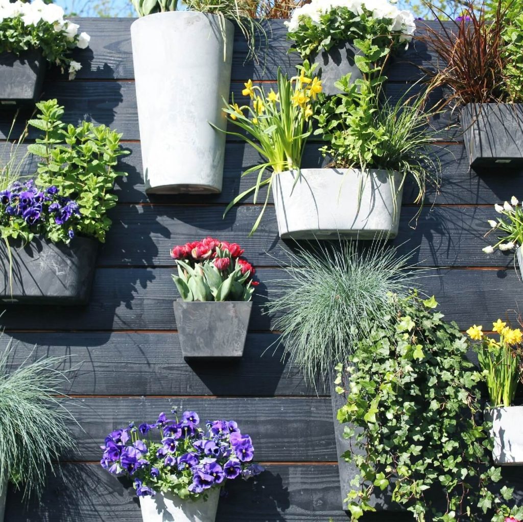 8. Modern Wall Planters with Geometric Appeal