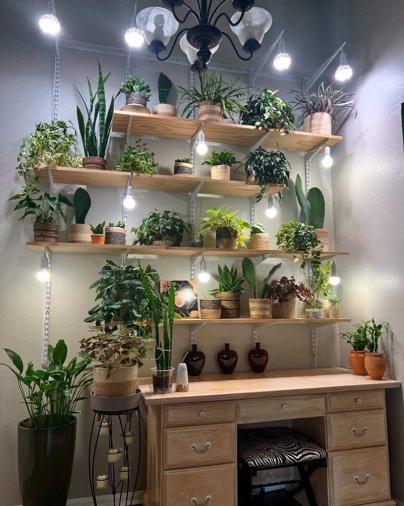 8. Illuminated Plant Wall for Low-Light Corners