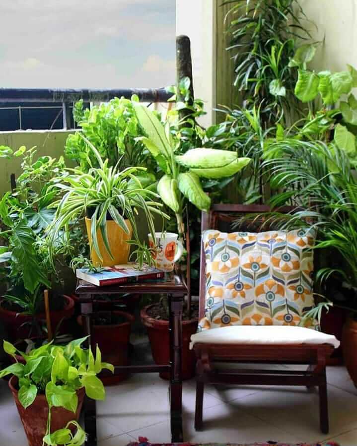 8. Urban Jungle Corner for Plant Lovers