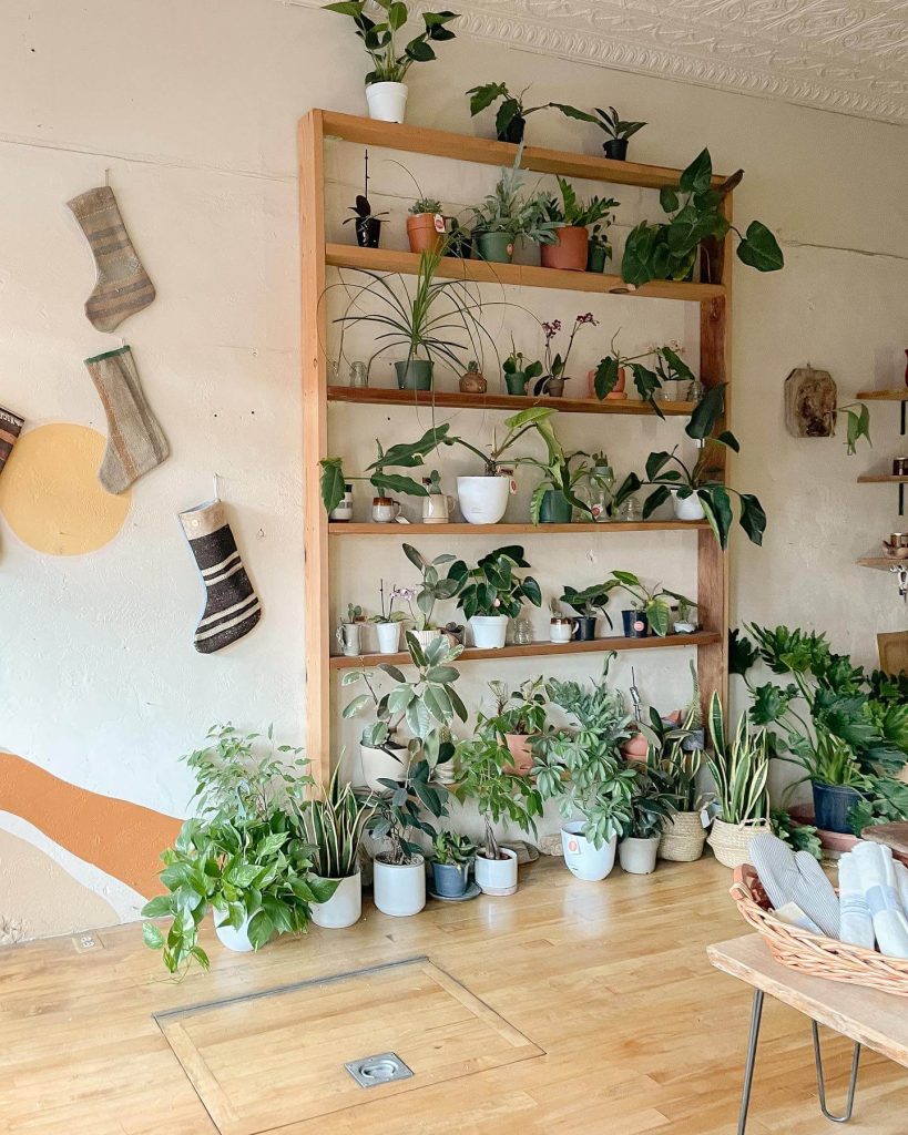 9. Floor-to-Ceiling Shelf for Plant Library Vibes