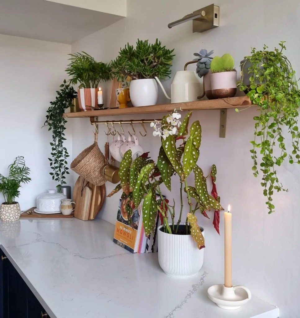 9. Plant-Filled Shelves With Hanging Storage