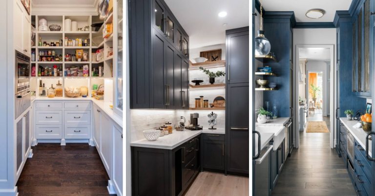 Butlers Pantry Ideas