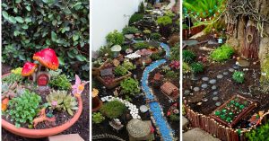 Fairy Garden Ideas