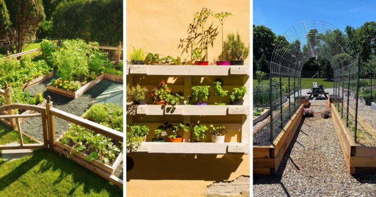 Garden Layout Ideas