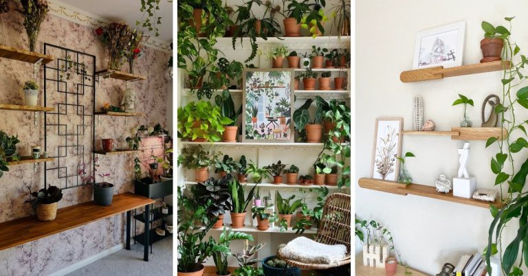 Plant Wall Shelf Ideas