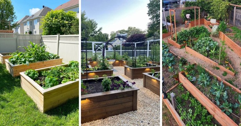 Raised Garden Ideas
