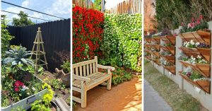 Vertical Gardening Ideas