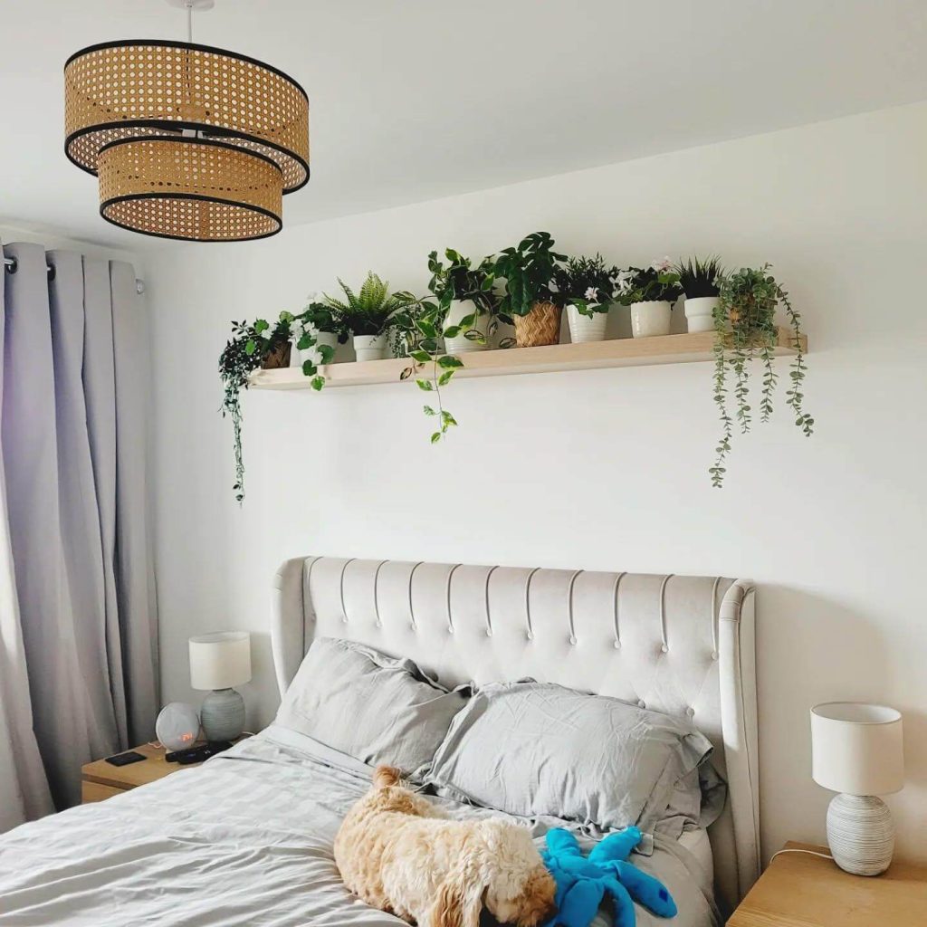 12. A Lush Green Canopy of Indoor Plants