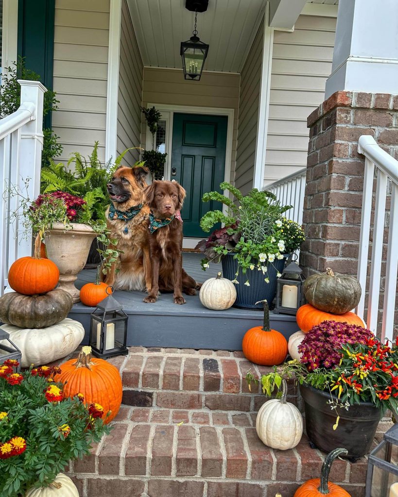 24. A Pet-Friendly Porch Full of Charm