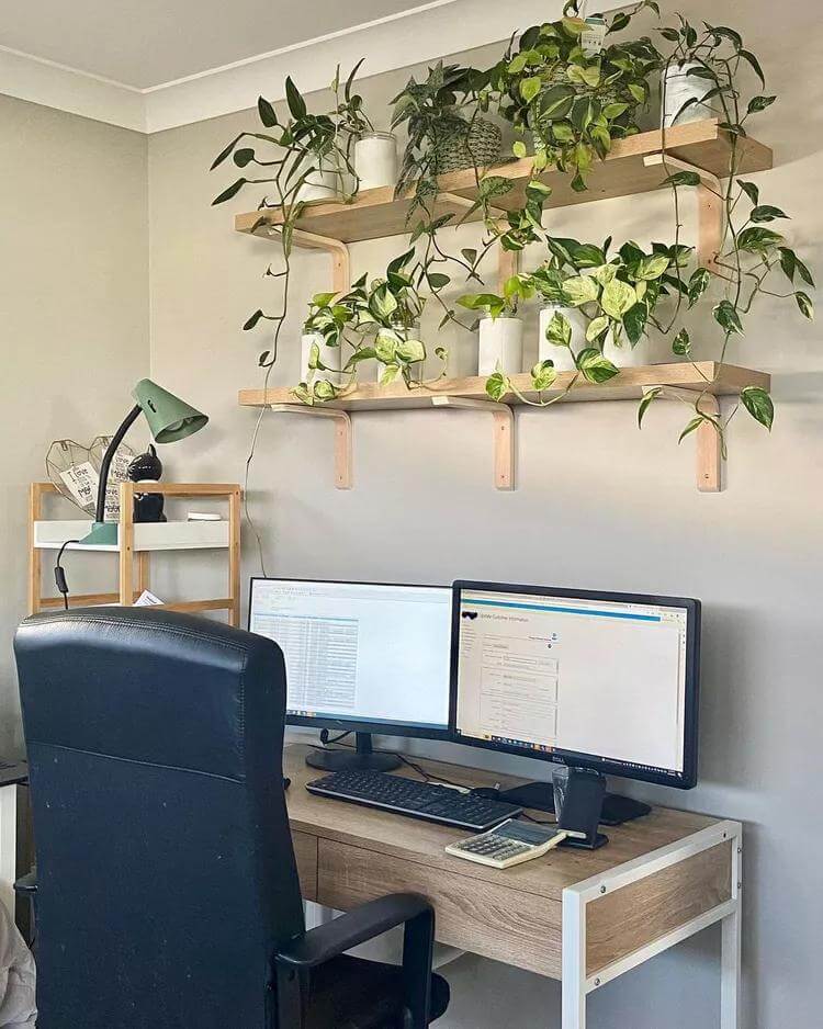 3. Green-Filled Workspace with Layered Plant Shelves