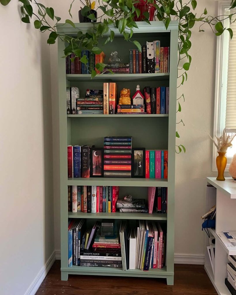 6. Green Bookshelf with Cozy Charm