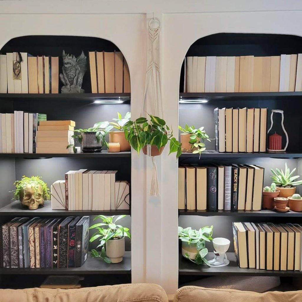 9. Dark Shelves with a Touch of Plant Life