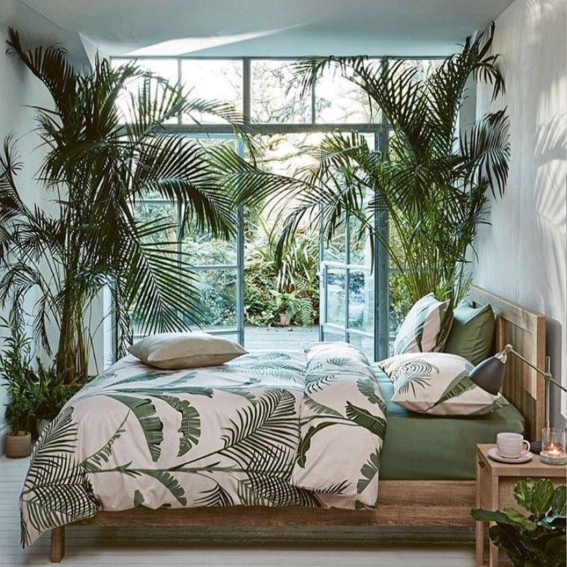 Tropical Oasis with Towering Palms